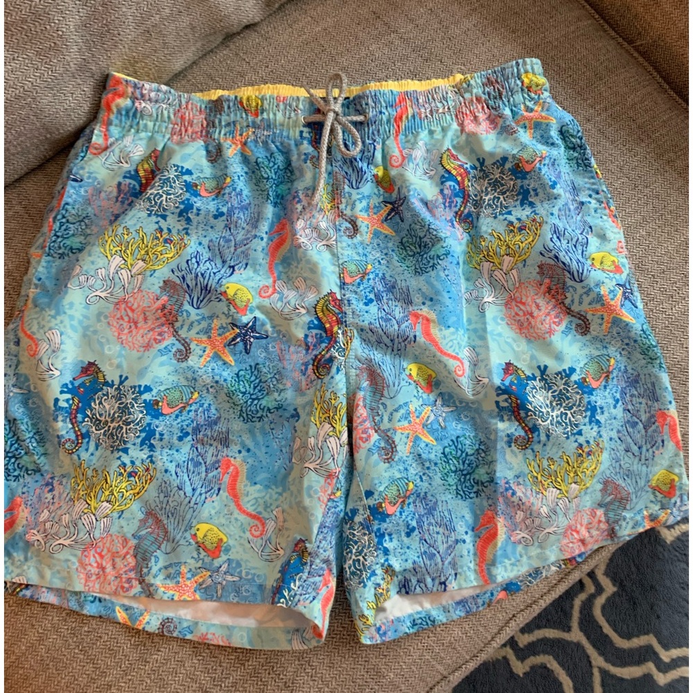 Mens Michael’s brand swim trunks size large